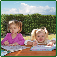 Picnic Table on Toucan Fort Swing Set