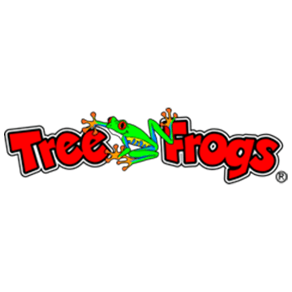 Tree Frogs Wooden Swing Set Factory